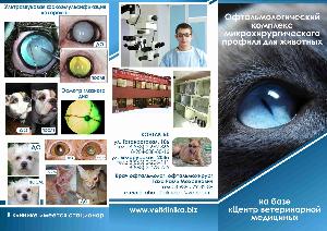 Консультация ветеринара-офтальмолога ветвет.jpg